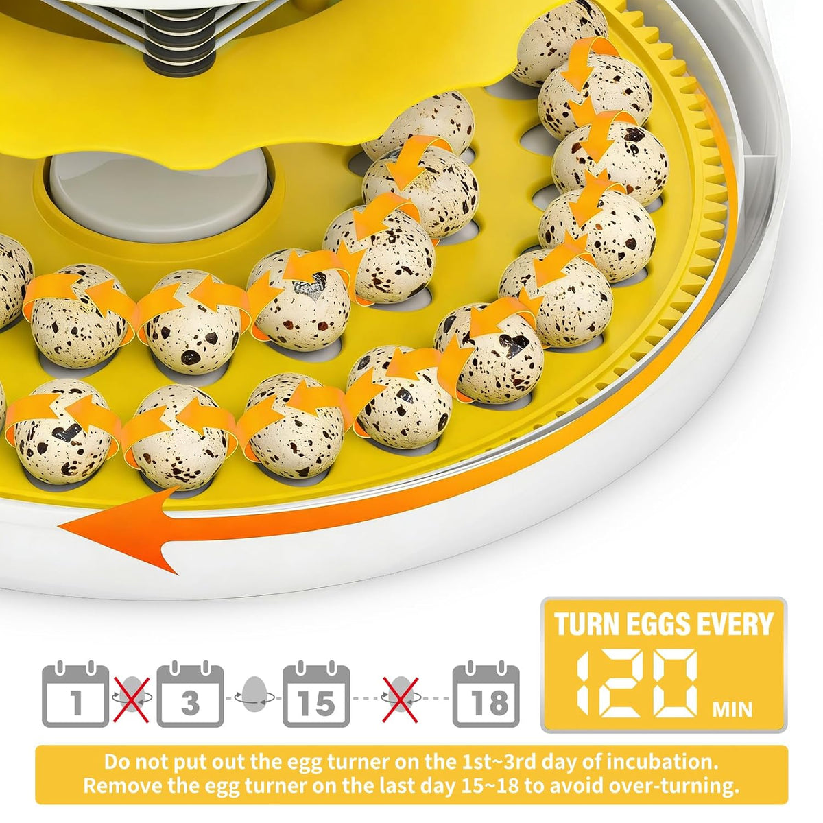 Quail Egg Incubator for Hatching 40 Quail Eggs with Automatic Turner