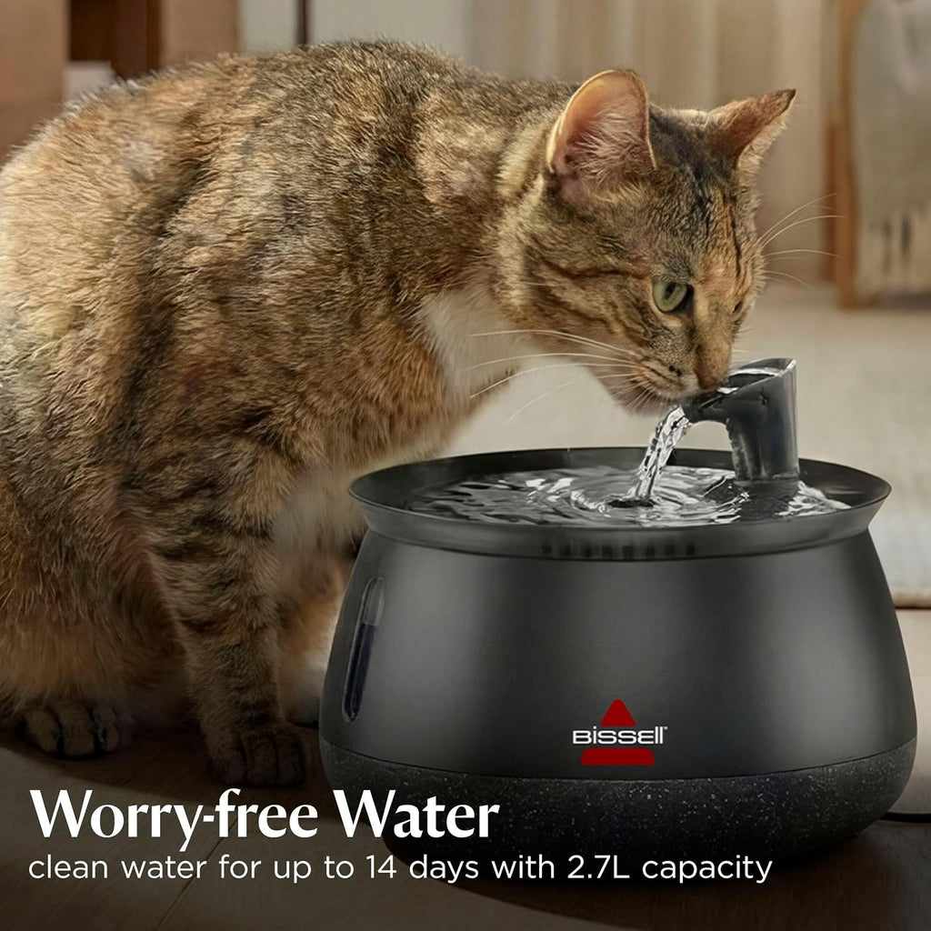 HydrateWell Cat Water Fountain, 91oz, 4408