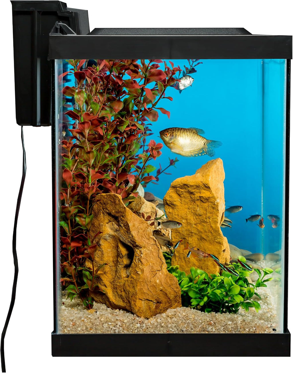 Complete 20 Gallon Fish Tank Kit for Freshwater & Saltwater Fish