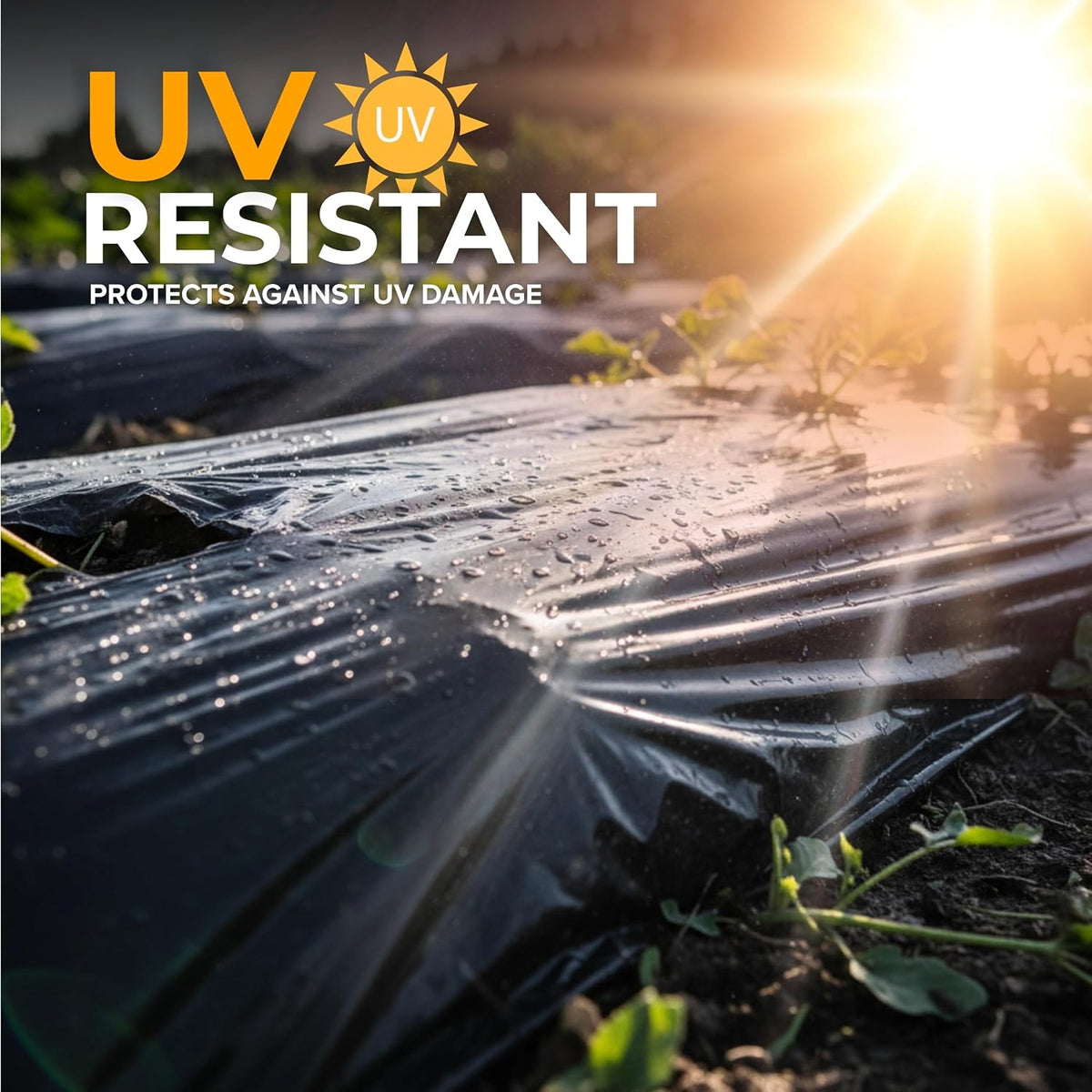 Black Plastic Sheeting 3' x 50', 4 Mil 2 Pack Landscape Weed Barrier Film