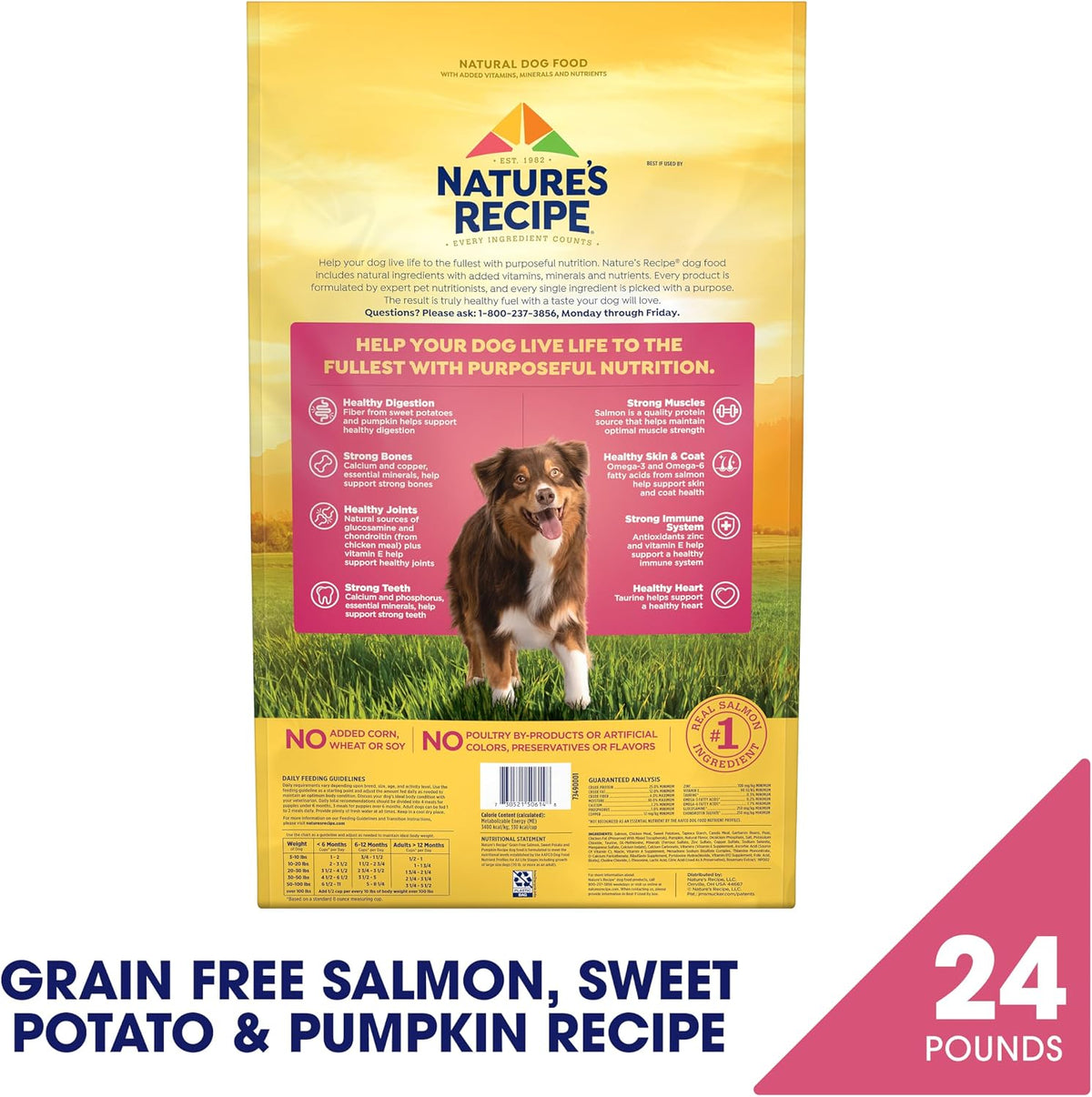 Grain Free Salmon Dry Dog Food, 24 lb. Bag