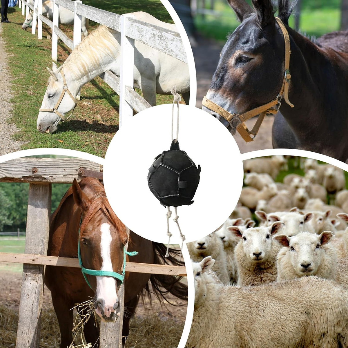 Horse Treat Ball,Carrot Feeder Ball Toy,Horse Enrichment Toys,Interactive Pasture Feederr,Horses,Goat,Stable & Paddock