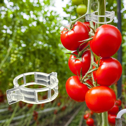 300Pcs Tomato Clips, Plastic Trellis Clips Plant Support Clips, Plant Clips for Support, Grape Vine, Tomato Vine