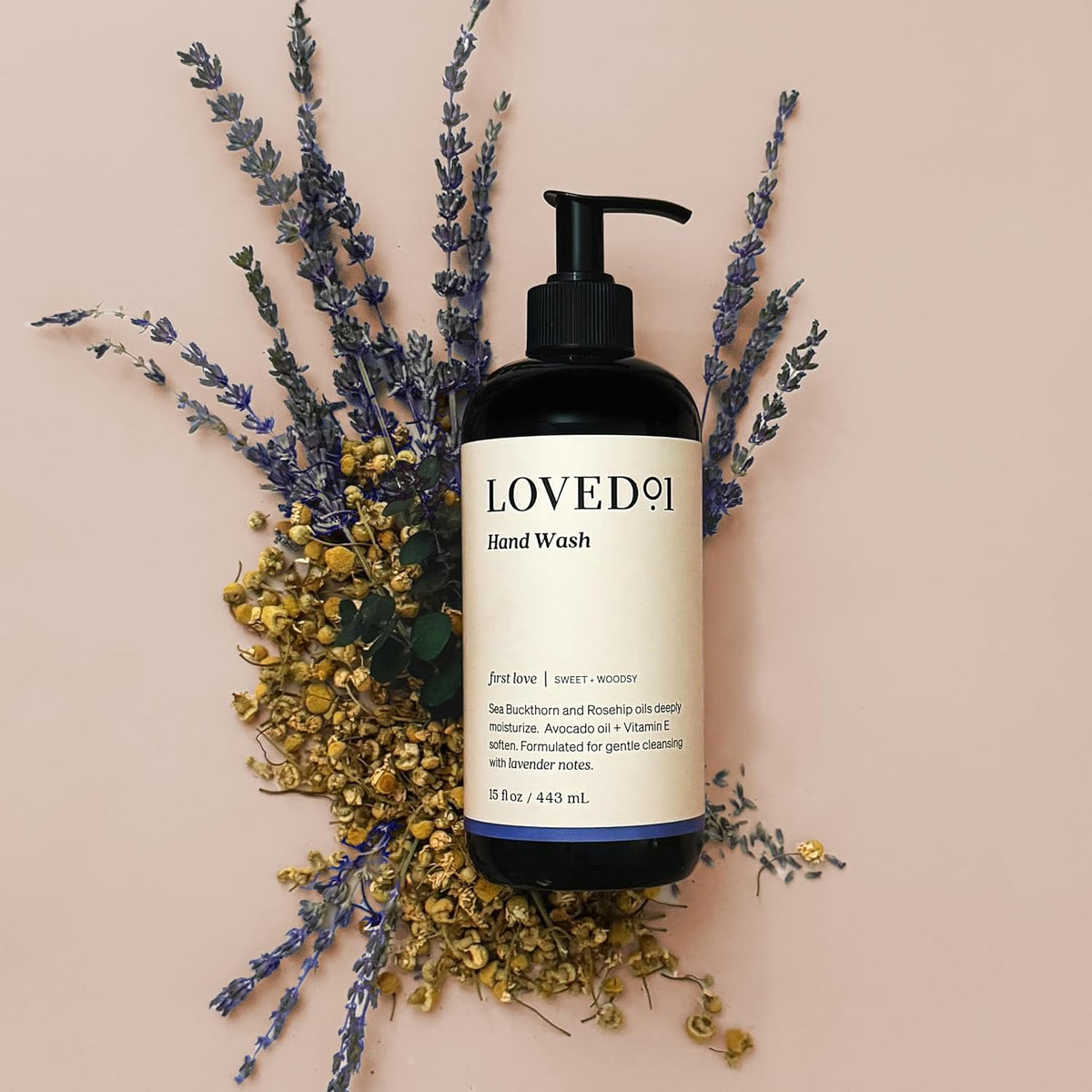 Hand Wash, Liquid Hand Soap, Nourishing Oils, Lavender, 2-Pack Each