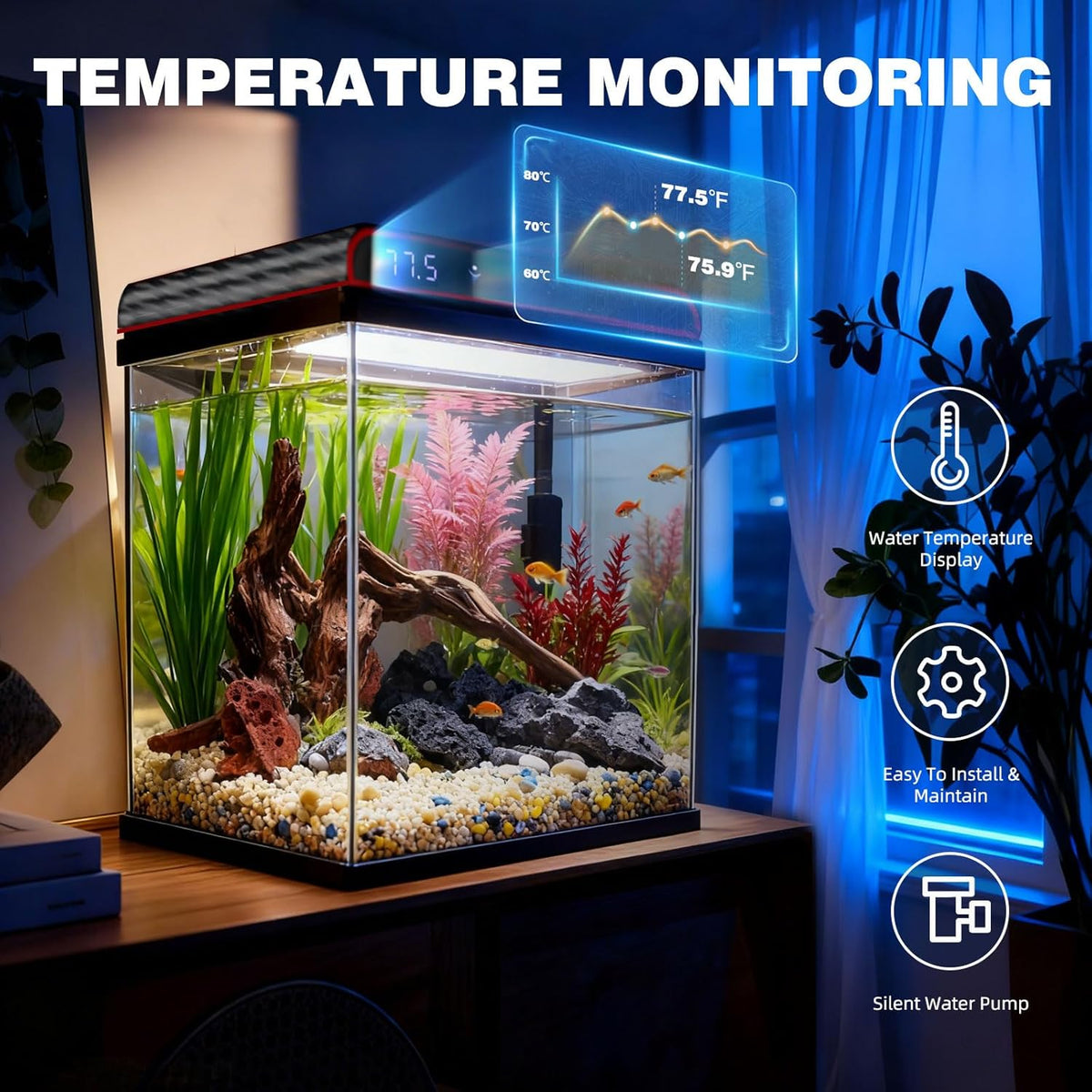 10 Gallon Glass Fish Tank, Aquarium Starter Kit, Kid Gift Ideas