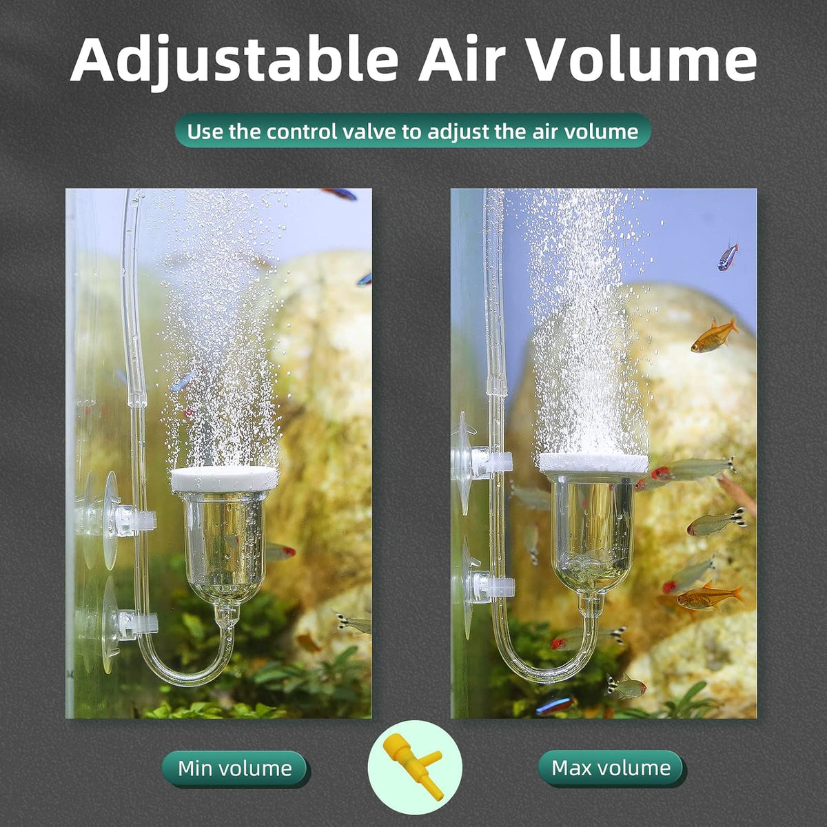 Aquarium Air Stone, Fish Tank Bubble Diffuser High Dissolved Oxygen Airstones for Air Pump Accessoriess with 1 Check