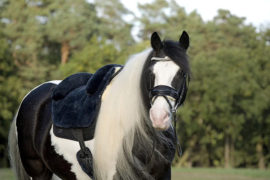 Werner Horse Bareback Pad IBERICA Plus treeless Saddle in Spanish Style, Made of Real Sheepskin
