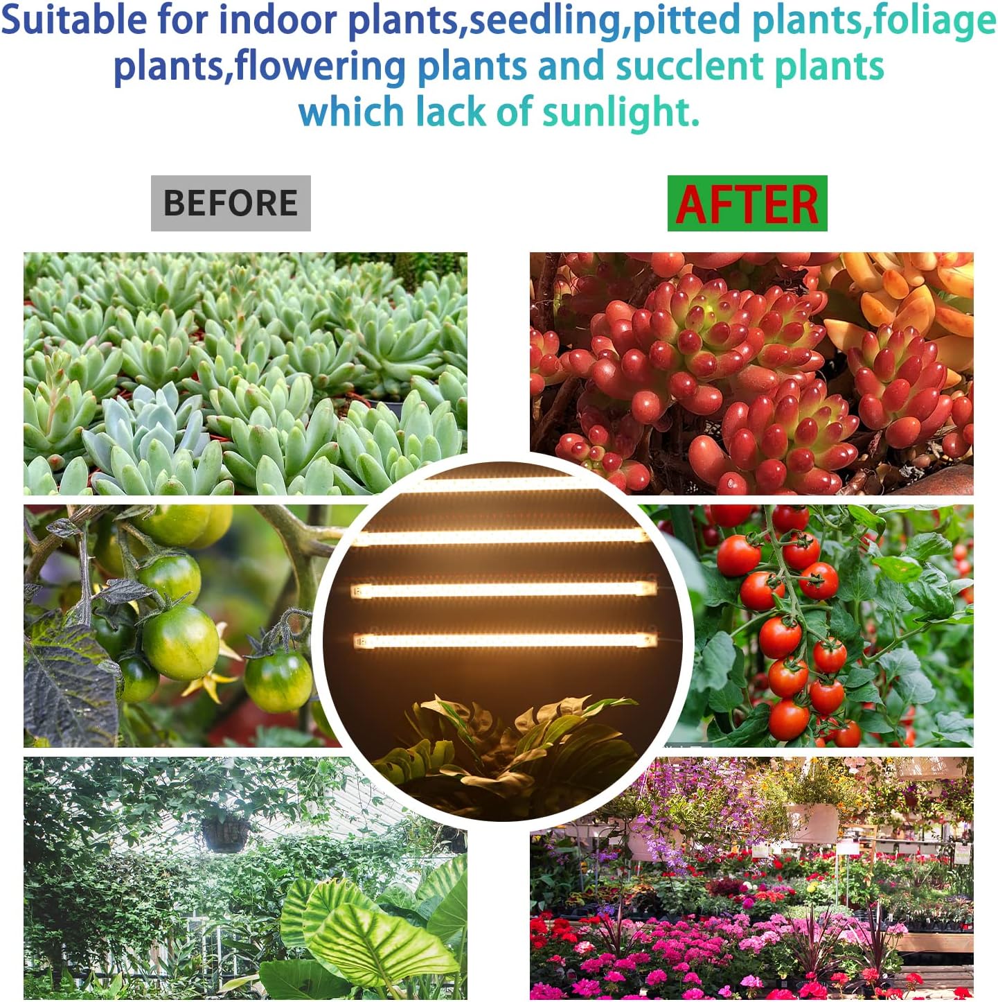 Grow Light Two Heads, Strip Growing Lamp, Full Spectrum Plant Light Strips for Indoor Plants with Auto ON/Off Timer &