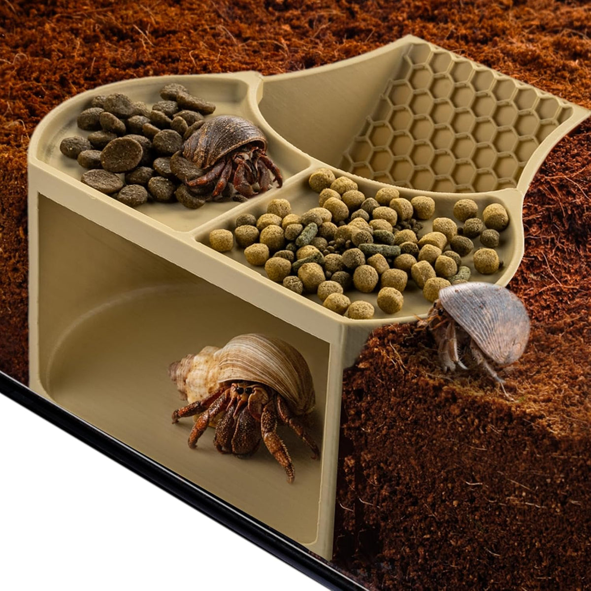 Hermit Crab Habitat Shelter with Dual Food Bowls, 2-in-1 Cave Shelter & Feeding Dish, Textured Climbing Ramp &