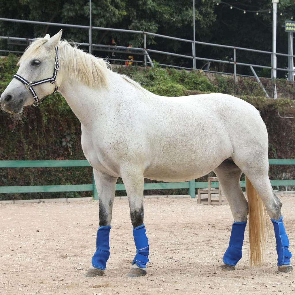 Horse Fly Boots Set of 4, Breathable Mesh Fly Boots for Horses