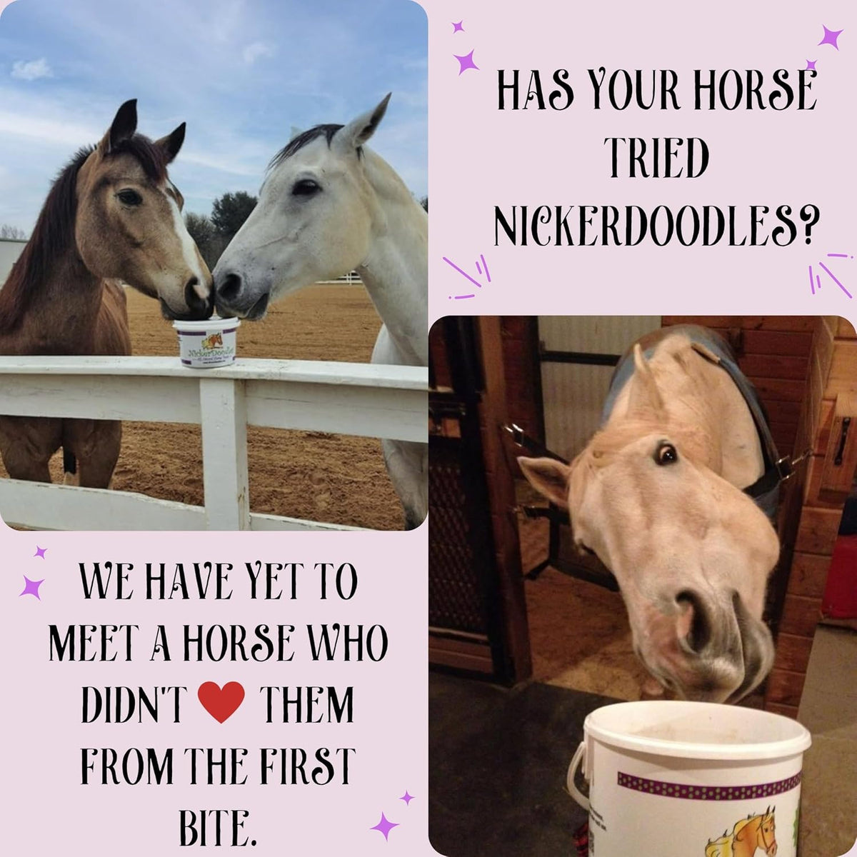 Horse Treats - 2 lb Pail - Effortlessly Give Medications with Our Soft Baked Treats - Training Treats are The Perfect