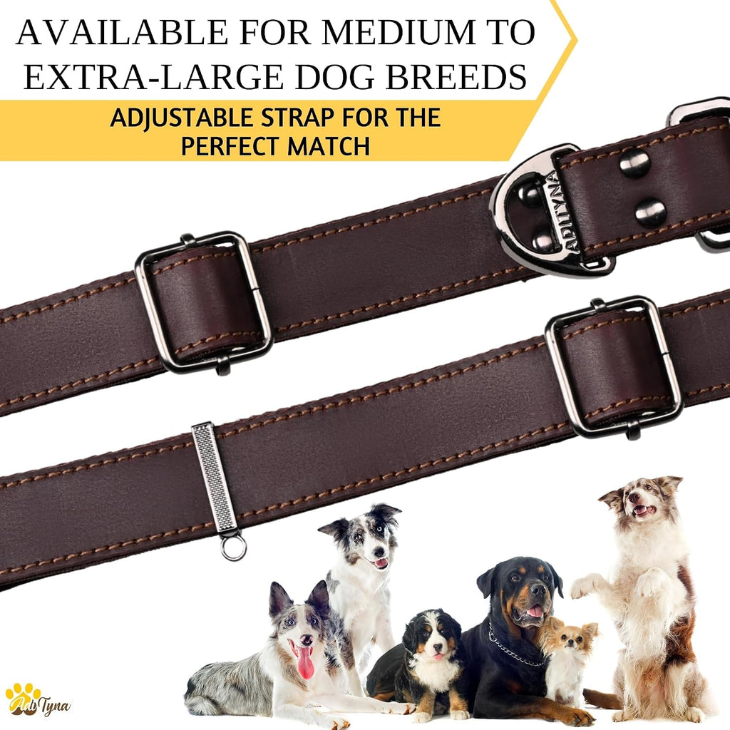 Leather Dog Collar for Large & Extra Large Dogs, Adjustable 19-30"