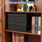 CD Case Holder with Handles and Lid – CD Storage Box with External Label Slots, Easy-to-Move Organizer Case for