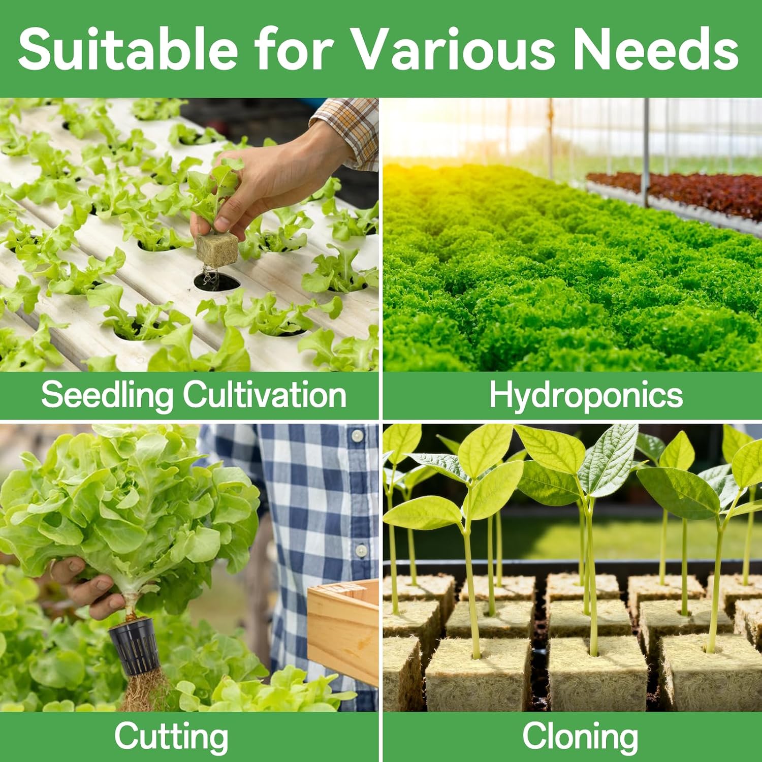 1" Rockwool Cubes, 2Sheets of 100 Rock Wool Seed Starter Plugs | Ideal for Hydroponic Seed Germination & Cuttings
