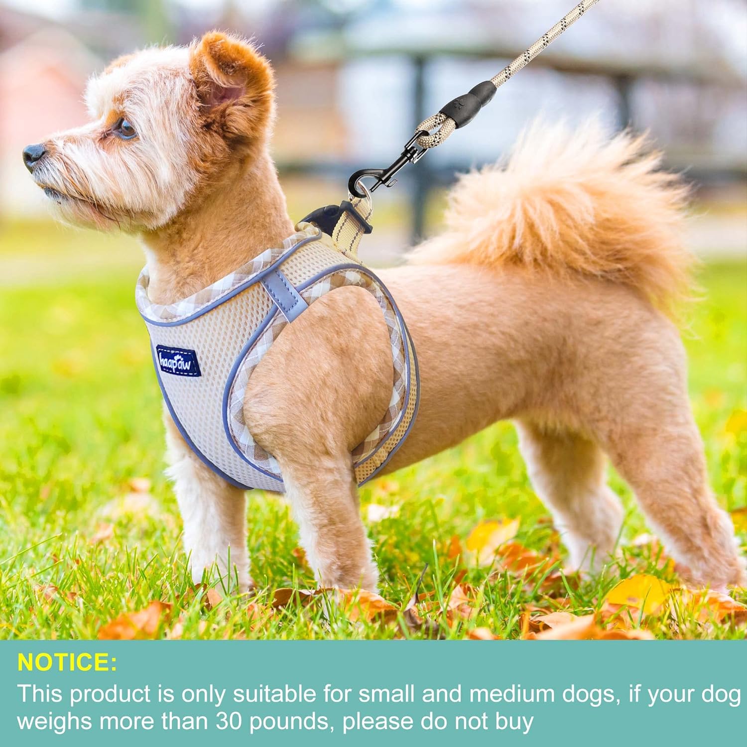 Dog Harness with Leash Set, No Pull Adjustable Reflective Step-in Puppy Harness with Thickened Padded Vest for