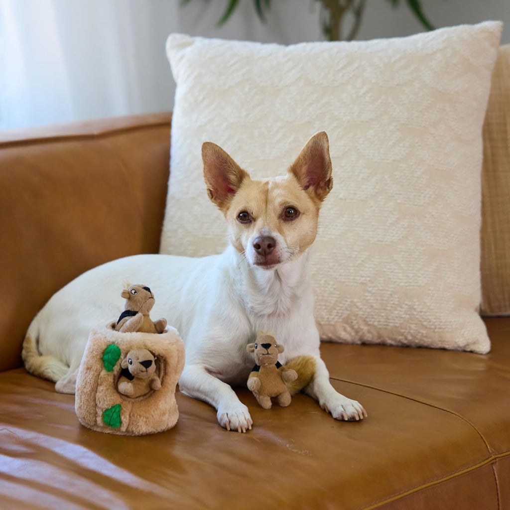 Squeakin' Squirrels Plush Squeaky Dog Toys, 3-Pack, 7"