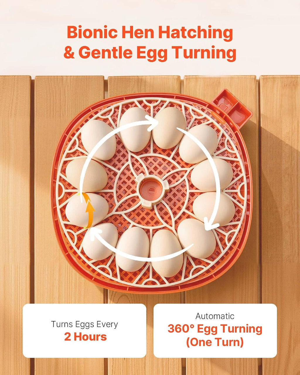 12 Egg Incubator, Automatic Egg Turner with LED Candler, Temperature & Humidity Control, 360° View Clear Window