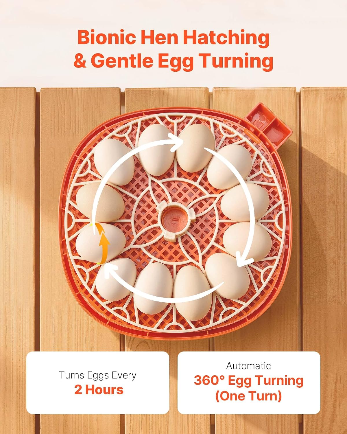 12 Egg Incubator, Automatic Egg Turner with LED Candler, Temperature & Humidity Control, 360° View Clear Window