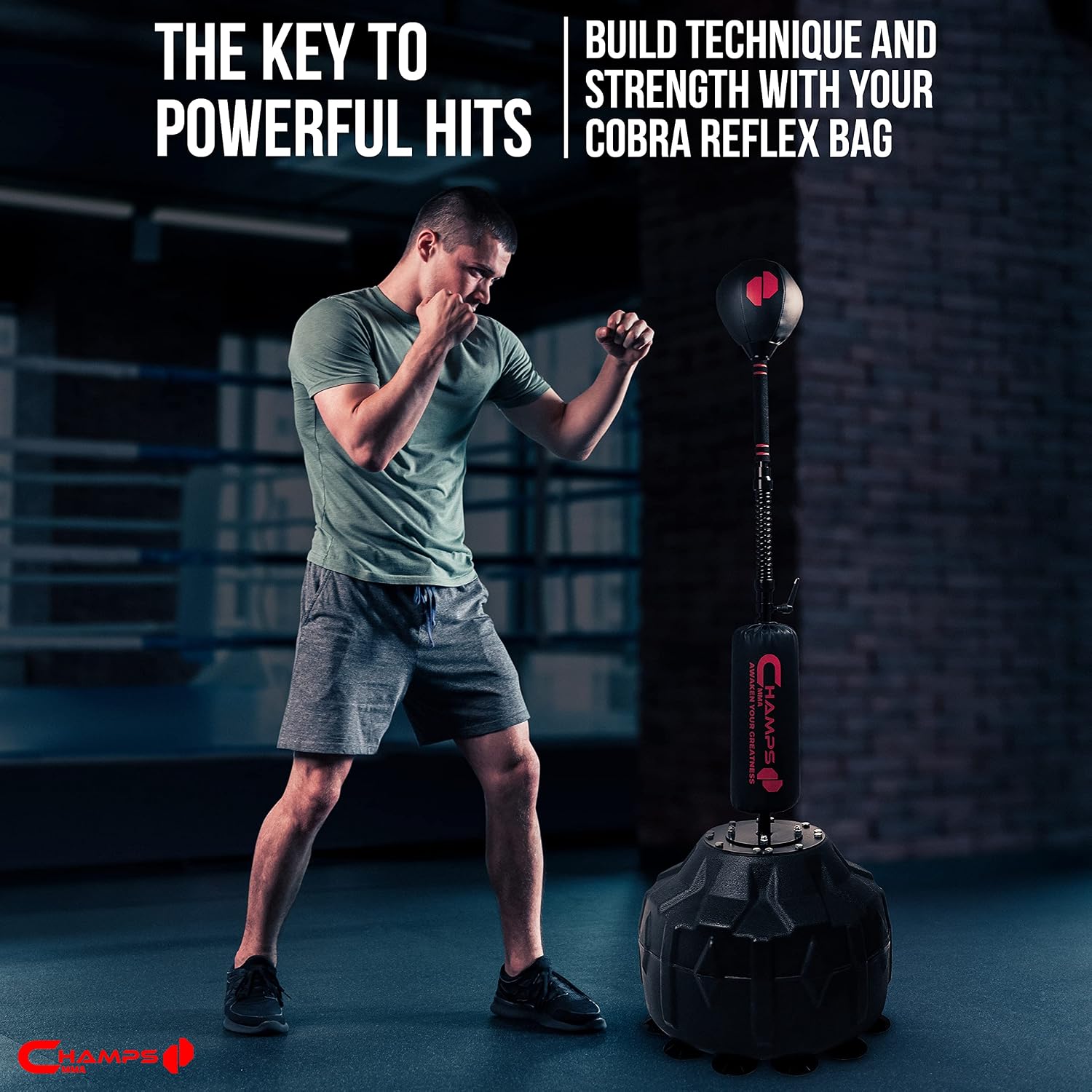 Cobra Reflex Bag - Advanced Reflex Punching Bag - Adjustable 55-77 inches, with Ultra-Fast Bounceback to Improve