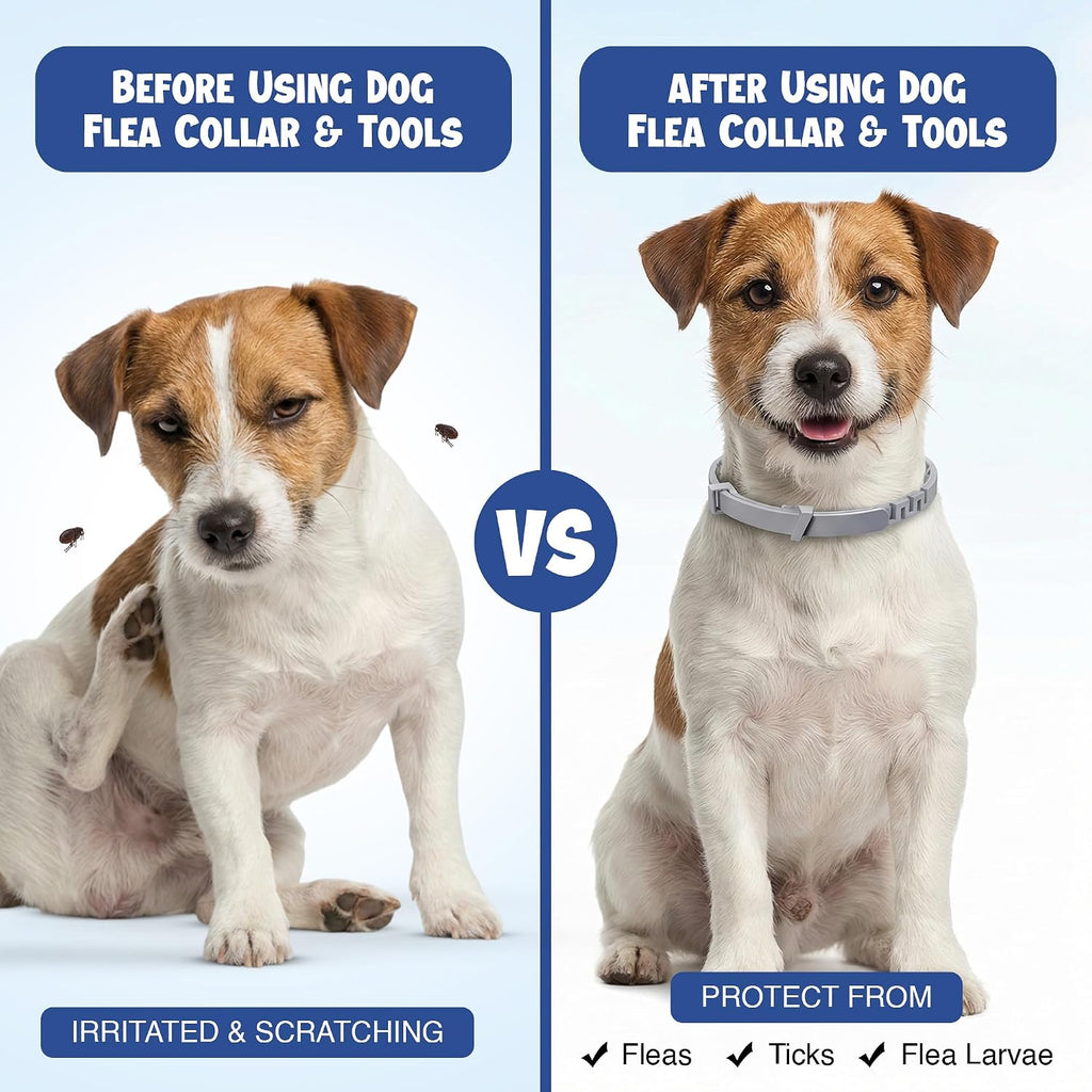 Dog Flea and Tick Collar (2 Pack) – Natural Waterproof Flea Collar for Dogs & Puppies with 8 Month Protection