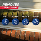 Mold & Mildew Stain Remover, Battery Spray Wand, 1.3 Gal