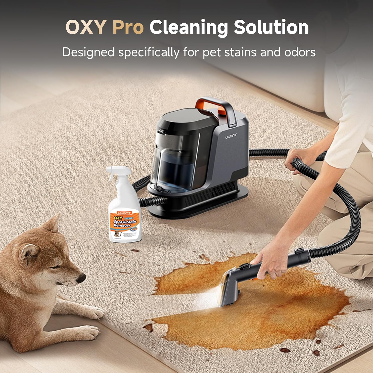 Carpet Cleaner Machine with Steam&Hot&Cold Water Models 18Kpa Powerful Suction Upholstery Cleaner Machine with Pet