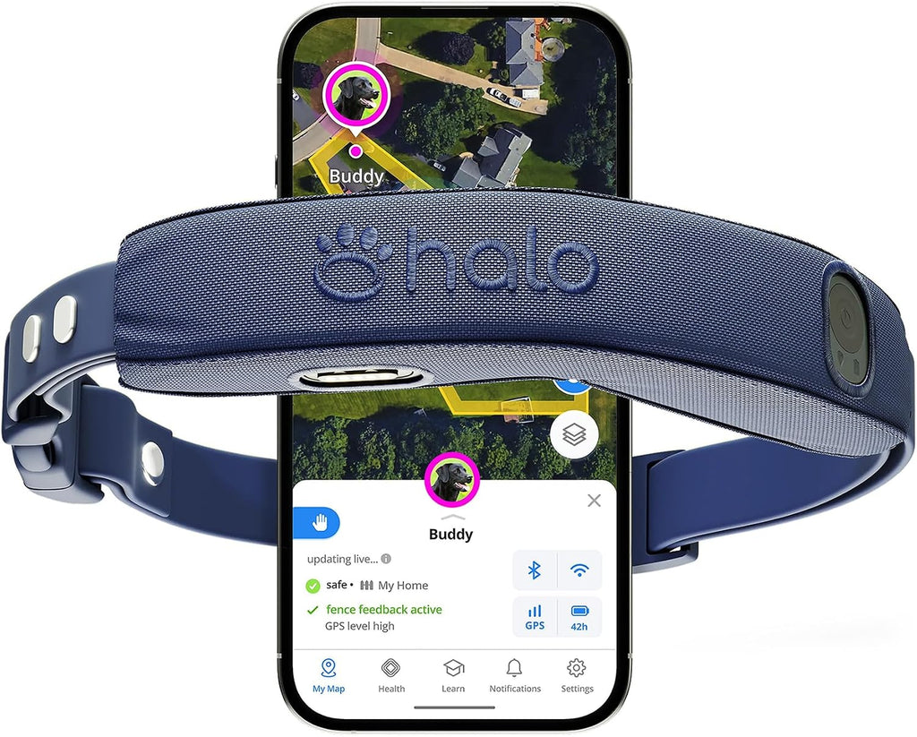 Collar 5 GPS Wireless Dog Fence, Midnight