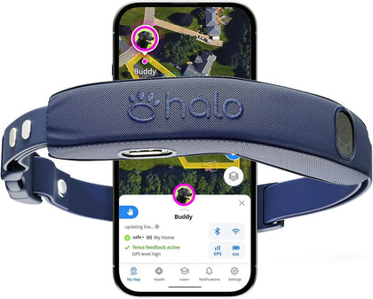 Collar 5 GPS Wireless Dog Fence, Midnight