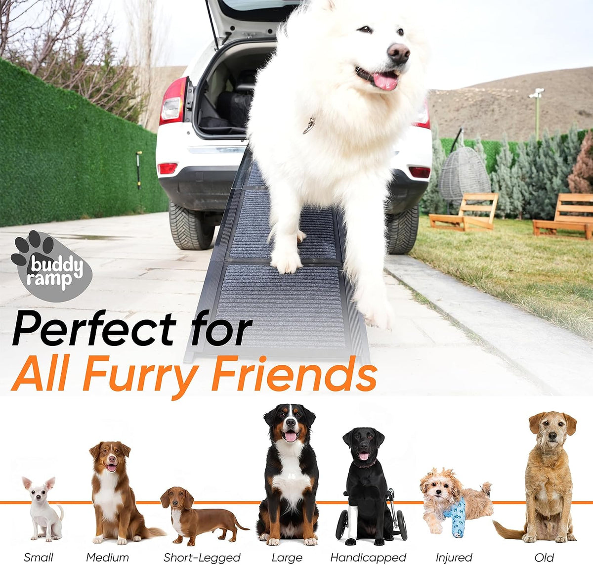 Dog Ramp for Car & Back Seat Cover Bundle