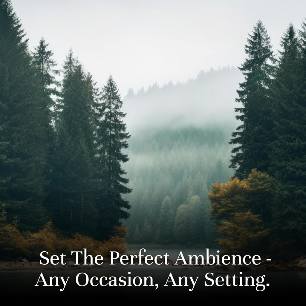 Fragrance Oil Favorite Set | Candle Scents for Candle Making, Freshie Scents, Soap Making Supplies, Diffuser Oil Scents