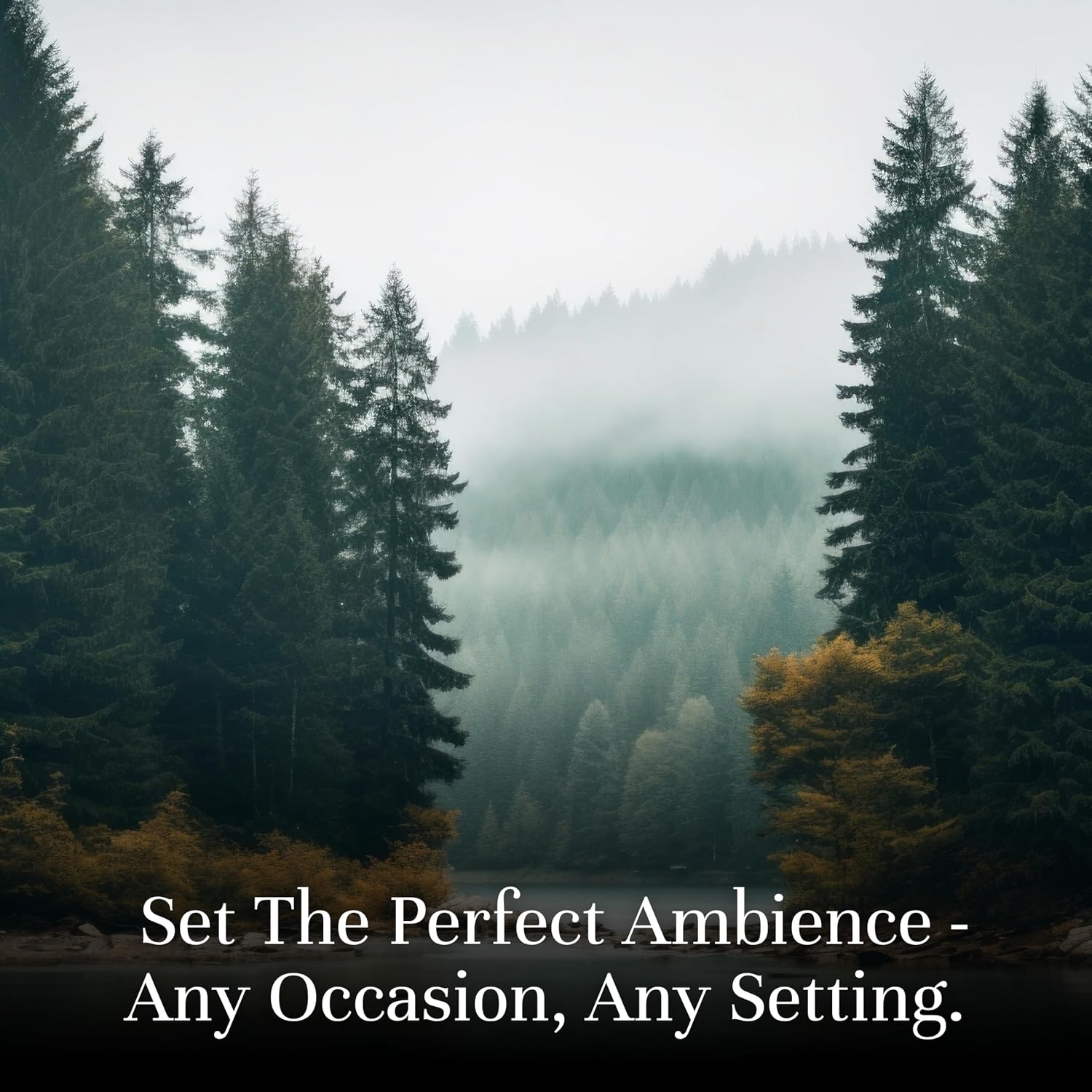 Fragrance Oil Favorite Set | Candle Scents for Candle Making, Freshie Scents, Soap Making Supplies, Diffuser Oil Scents