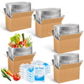 4 Pack Insulated Shipping Boxes for Frozen Food with Ice Packs, S