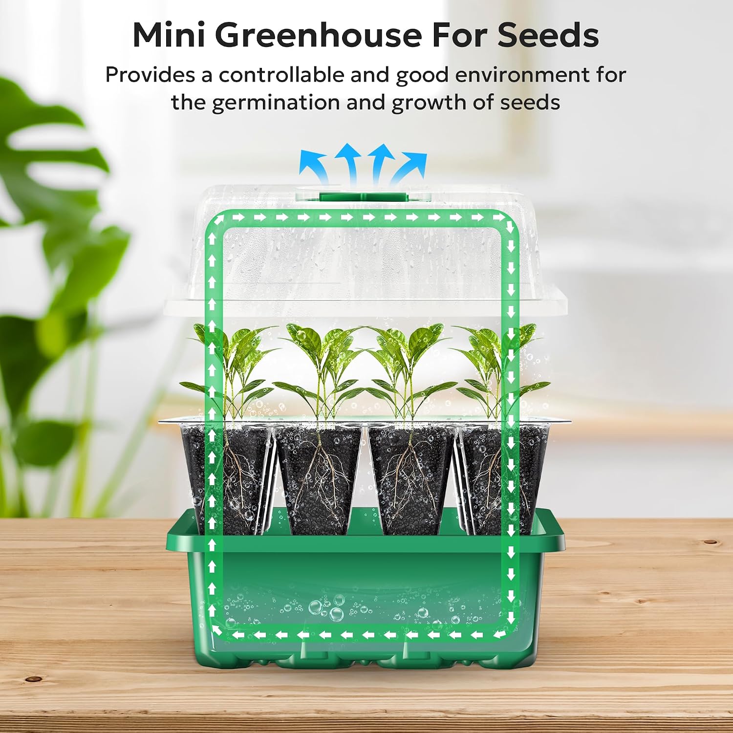 10 Pack Seed Starter Tray, 120Cell Stater Kit with Humidity Dome Green | Reusable Clear Plant Germination Tray with