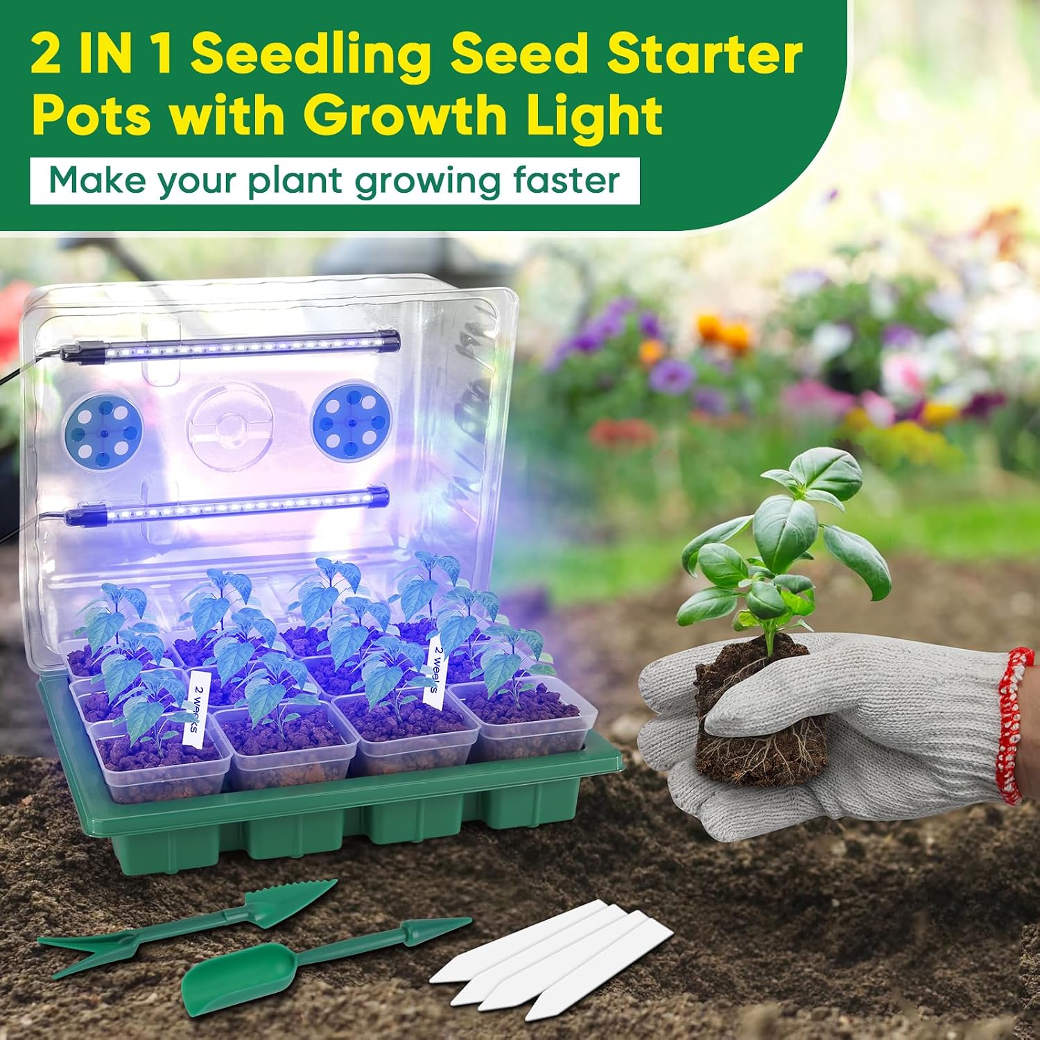 Seed Starter Tray with Grow Light, 24 Pack Large Clear Nursery Pots | 2.9" Deep Seedling Trays, Reusable Plant
