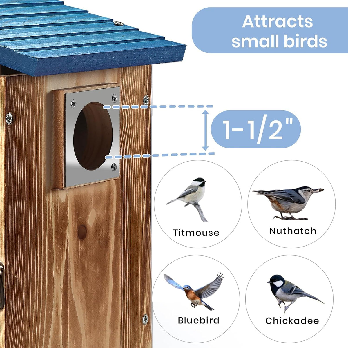 Blue Bird Houses for Outside with Gift Box - Durable Birdhouses for Outdoors with Clear View Panel & Predator Guard