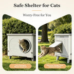 Outdoor Cat House Weatherproof Elevated with Escape Door & Cushion