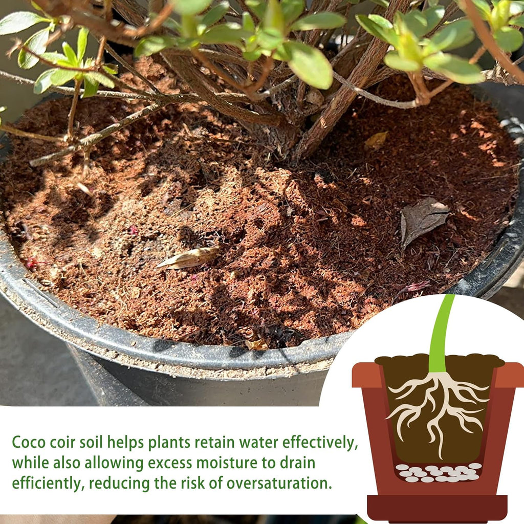 Coco Coir Brick for Organic Coconut Soil - 2 Pack With Low EC & PH Balance - High Expansion Fiber for Herbs & Flowers