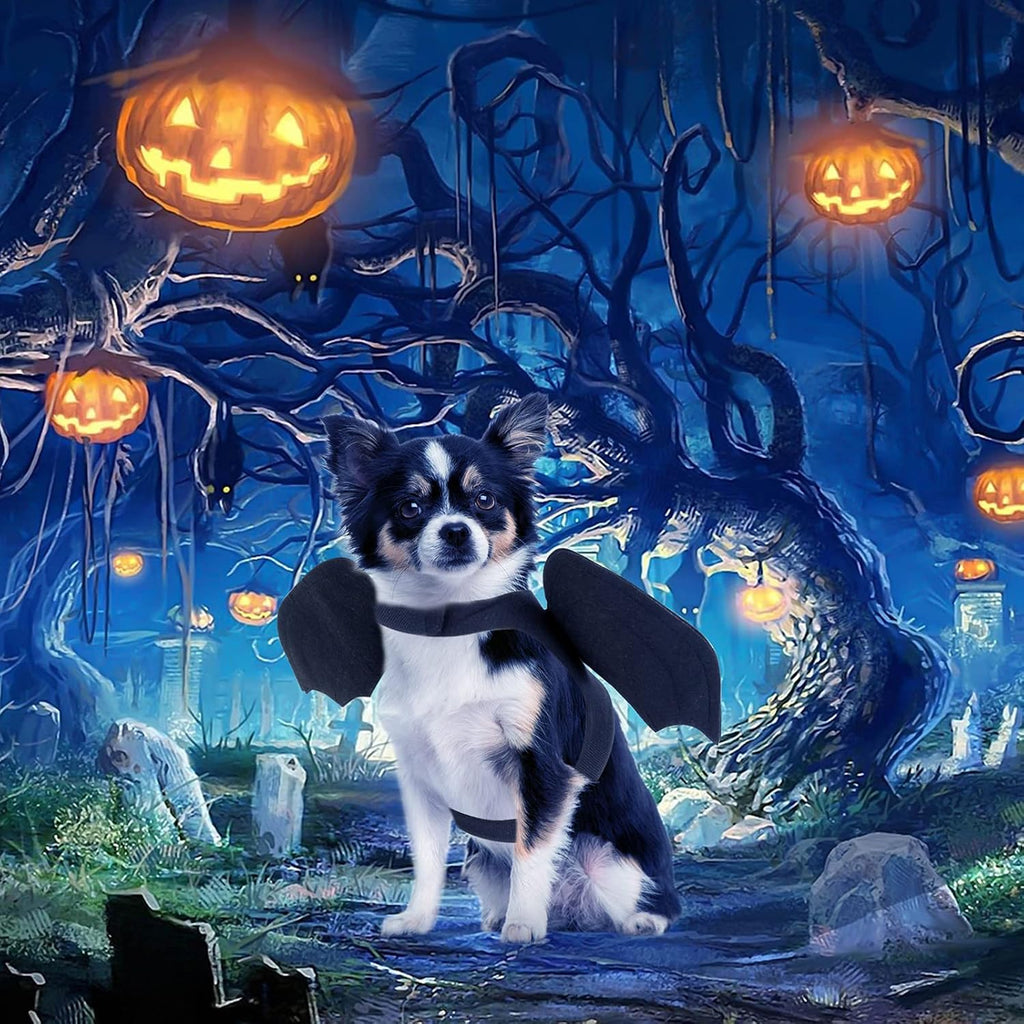 Dog Bat Wings Costume, Halloween Pet Costume for Dogs & Cats D-Ring M | D-Ring for Leash, Lightweight Felt Comfort