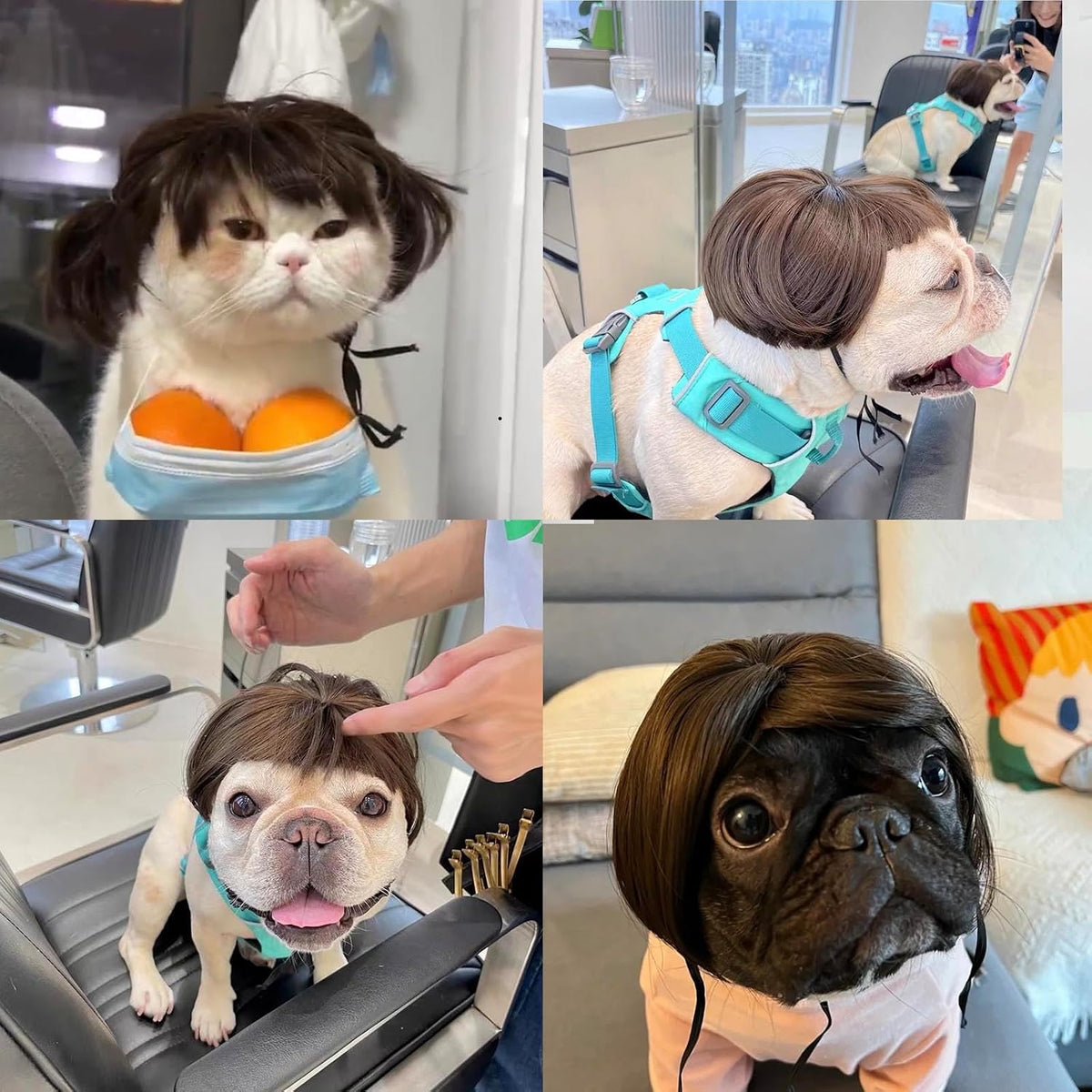 Funny Dog Costume Dog Bob Wig for Cat Doggie Wig