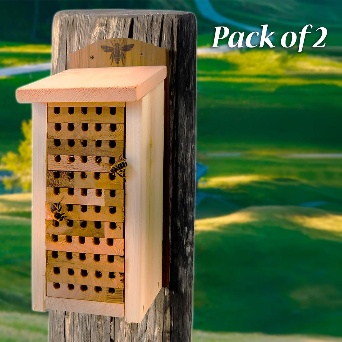 Woodlink Heavy Duty Cedar Mason Bee Houses, Large, Pack of 2