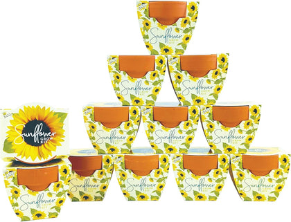 Seeds All-in-One Sunflower Grow Kit 12-Pack - Mini Terracotta Pot Grow Set - Complete Indoor/Outdoor Gardening Kit
