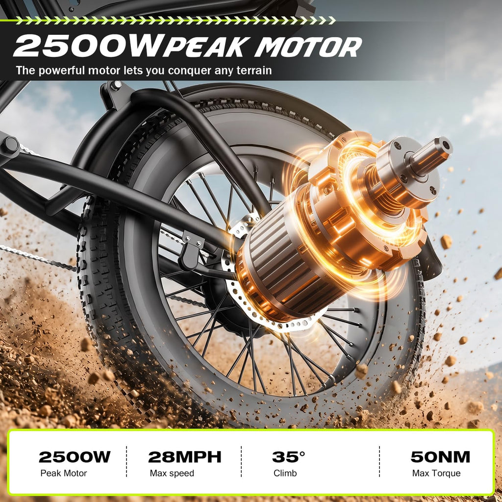 Electric Bike for Adults Teens, 2500W Peak, 28/36 Mph & 65 Miles, 16/20" Fat Tire All-Terrain Electric Dirt Bike with