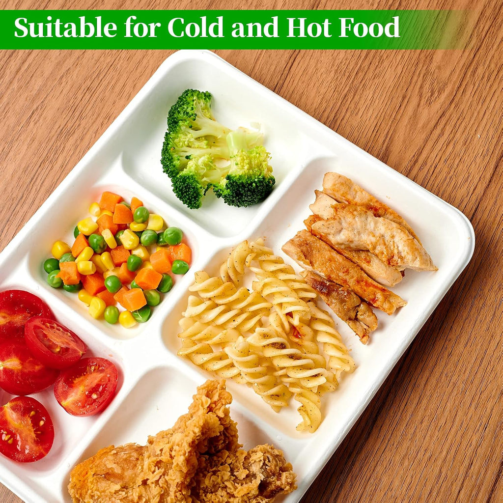 Compostable Disposable 5 Compartment Paper Plates, 10.25inch