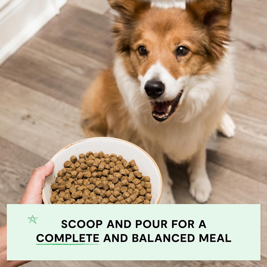 Grain Free Dry Dog Food, Grass-Fed Beef Kibble, 4lb Bag