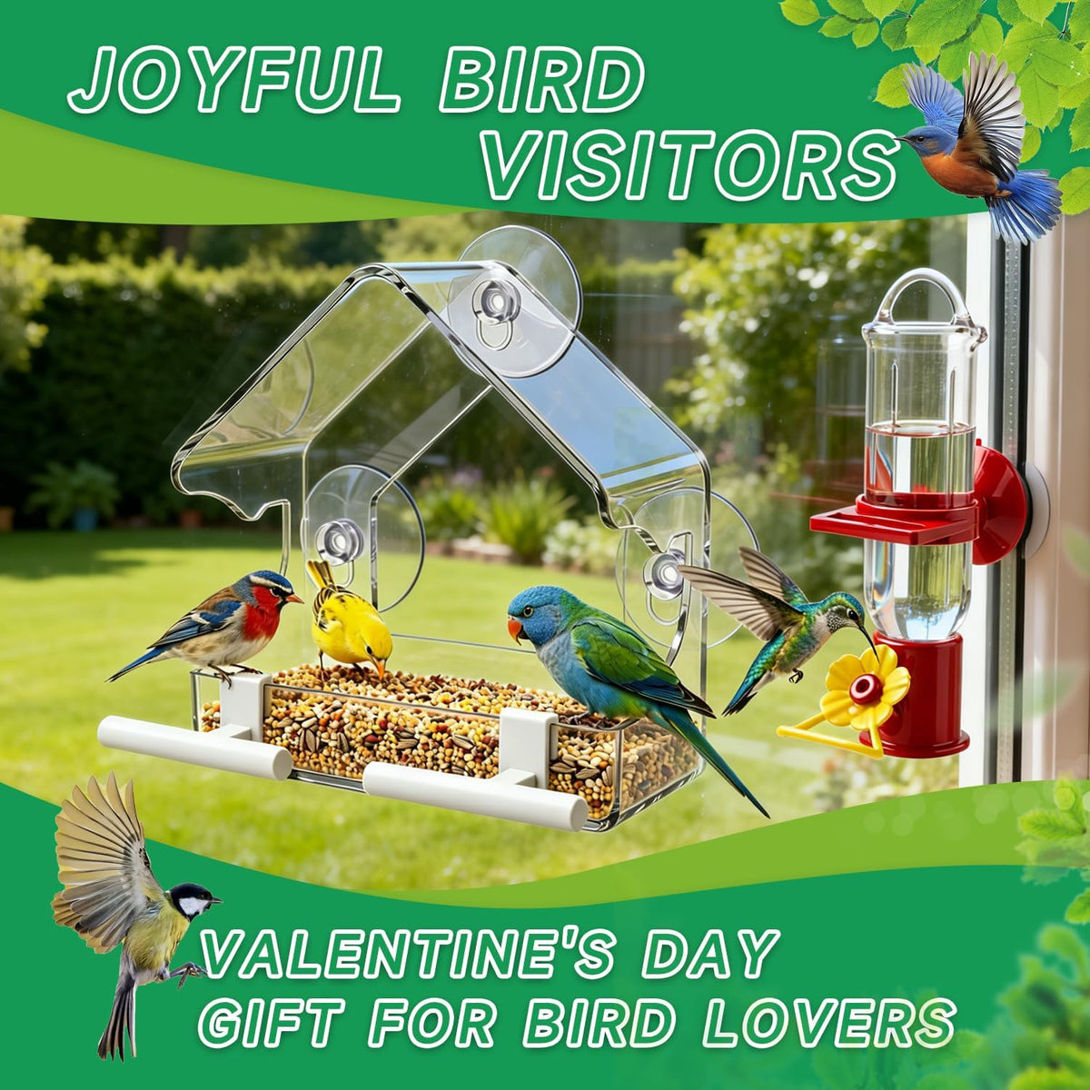 Window Bird Feeder with Strong Suction Cups (3-Piece Set). Two Seed Feeder Sizes + Hummingbird Water Station