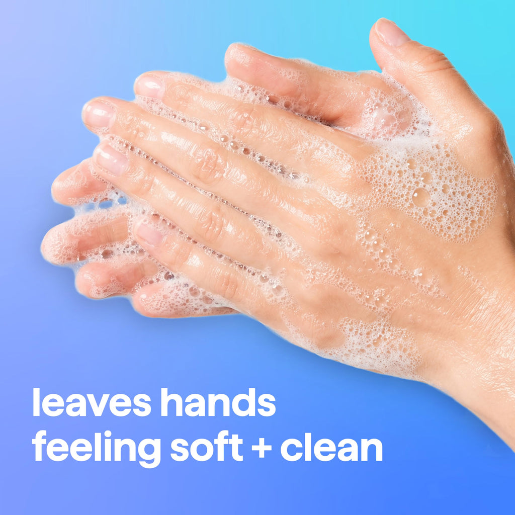 Foaming Hand Wash, Sea Minerals, 10 fl oz, 6 pack