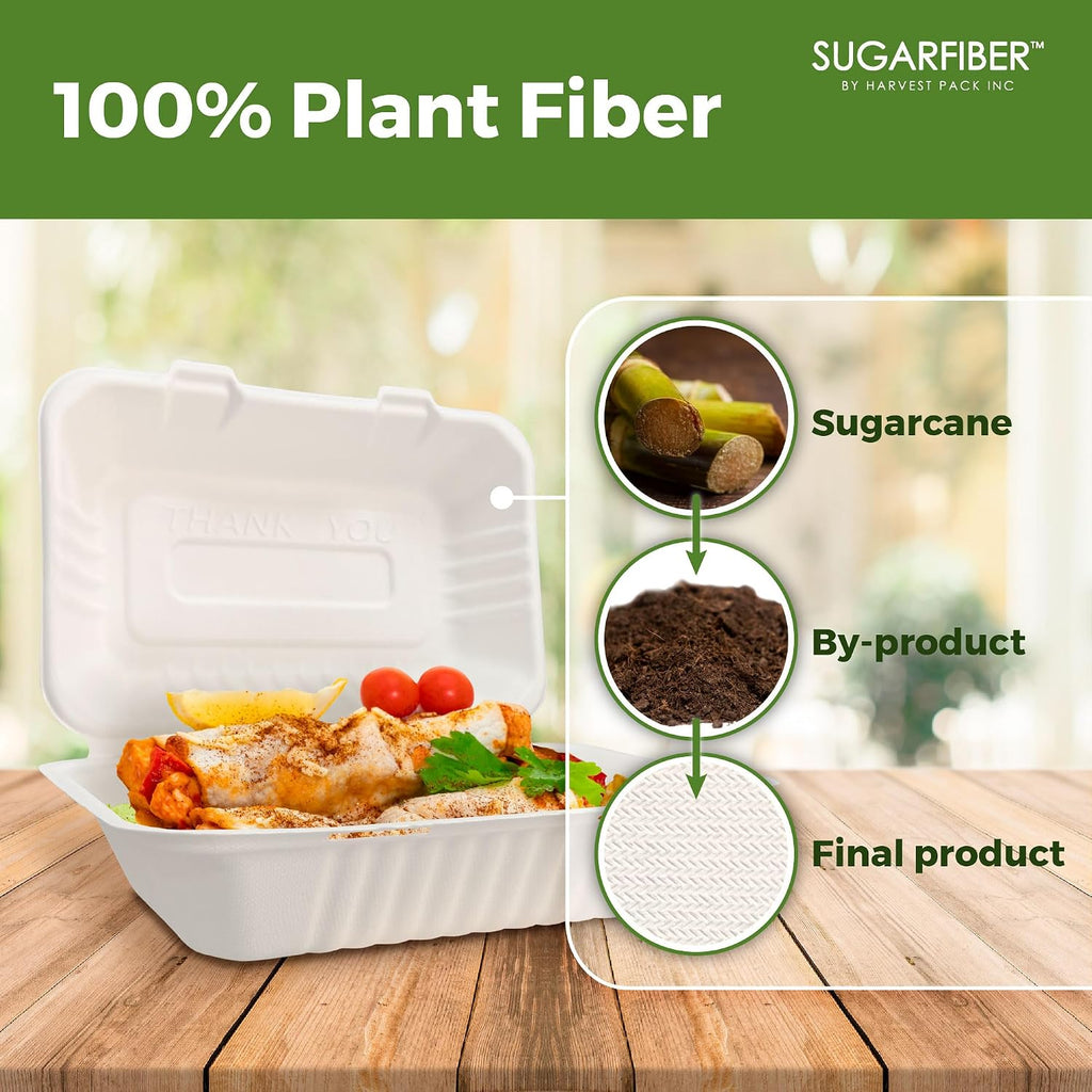 9X6 inch Compostable White Clamshell Take Out Food Containers togo boxes