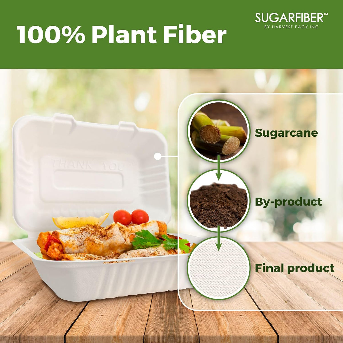 9X6 inch Compostable White Clamshell Take Out Food Containers togo boxes