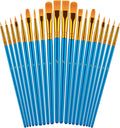 Paint Brushes Set for Acrylic Painting, 20 Pcs Oil Watercolor Acrylic Paint Brush, Artist Paintbrushes for Body Face