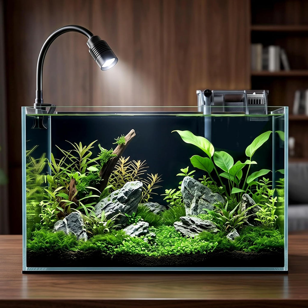 10 Gallon Small Fish Tank Glass Aquarium Complete Kit for Betta Fish